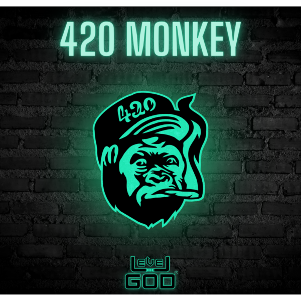 Cuadro Decorativo Fotoluminiscente Modelo 420 Monkey